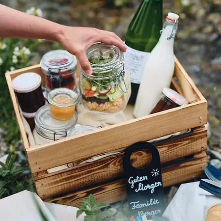 Dachsteingasse By Schladming-appartements Appartement